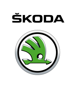 Skoda reparatie