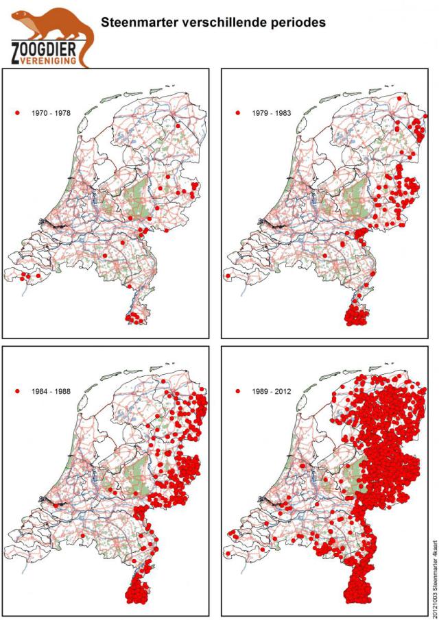 Steenmarter verjager anti steenmarter mat Gardigo