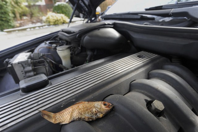 reparatie auto berekenen